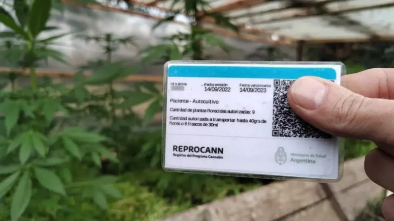 Ministerio Salud REPROCANN