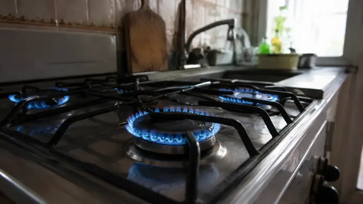 Ajuste Del Precio Del Gas