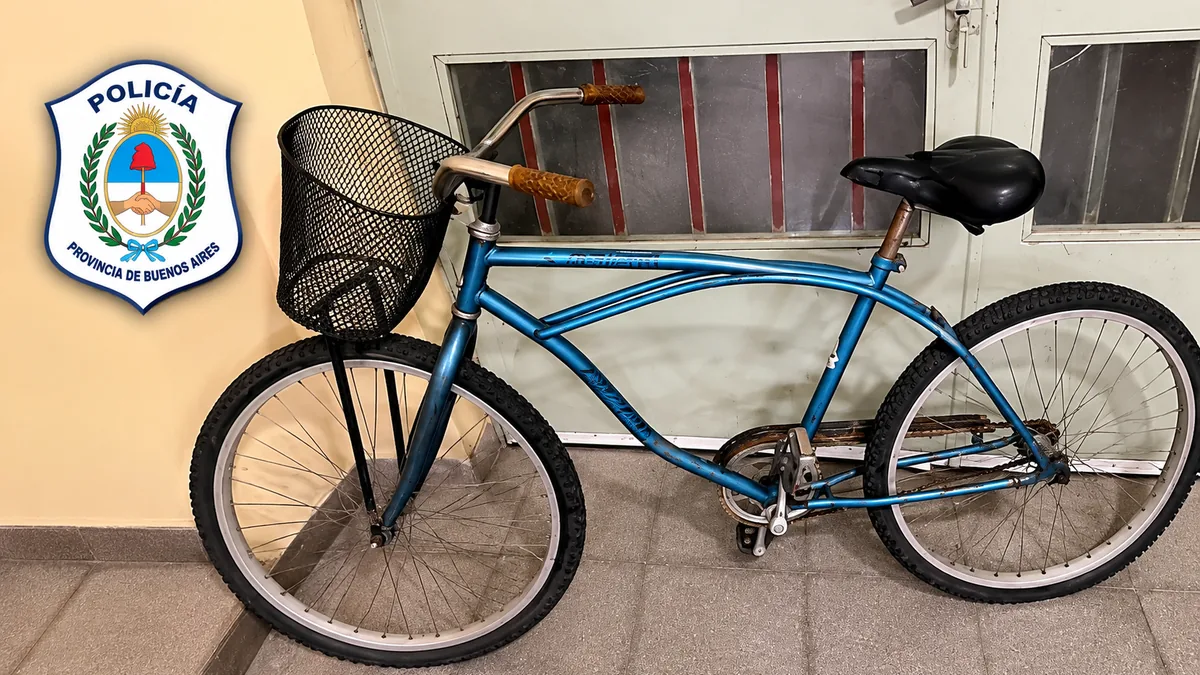 Bicicleta La Emilia: playera verde rodado 26 con canasto